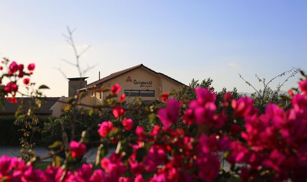 Hotel Origenes Vallenar Exterior photo